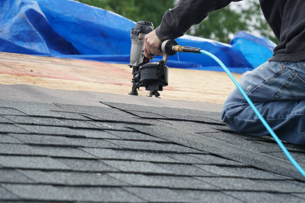 Best Metal Roofing Contractor  in Skidway Lake, MI