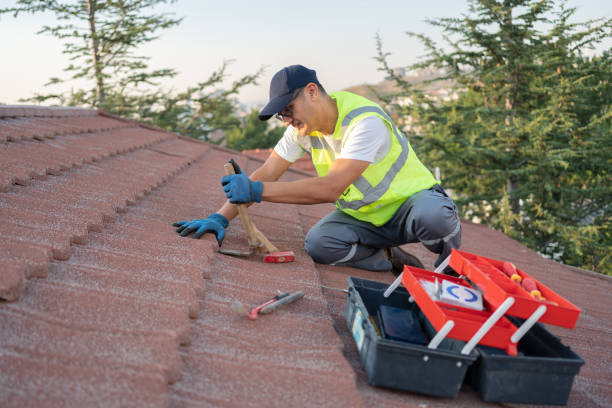 Best Roof Gutter Cleaning  in Skidway Lake, MI