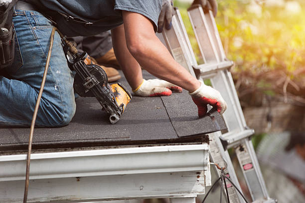 Best Roof Repair Services  in Skidway Lake, MI