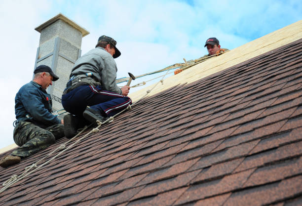 Best Roof Leak Repair  in Skidway Lake, MI