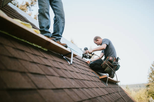 Gutter Installation and Roofing in Skidway Lake, MI