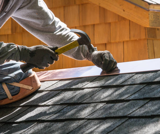 Best Sealant for Roof  in Skidway Lake, MI